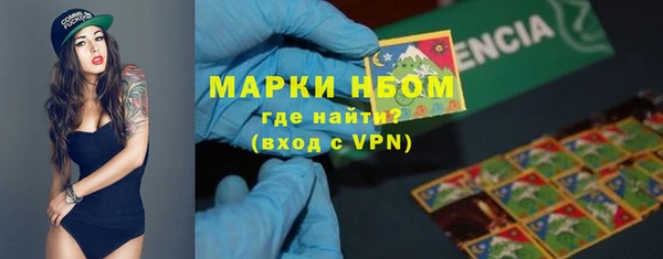 гидра Осинники