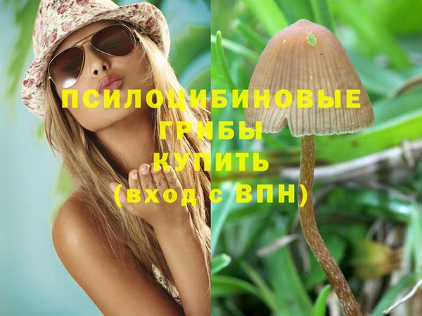 ALPHA PVP Нягань