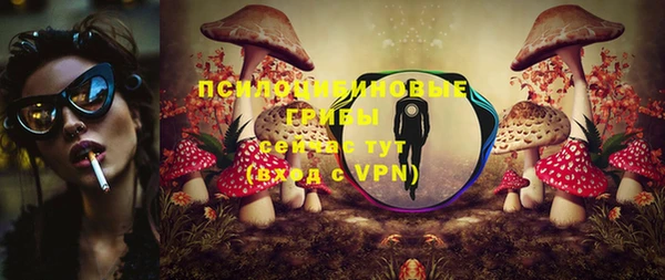 гидра Осинники