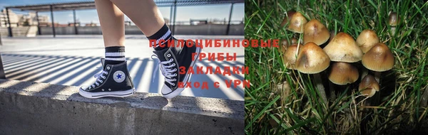 ALPHA PVP Нягань