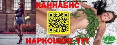 мдпв Беслан