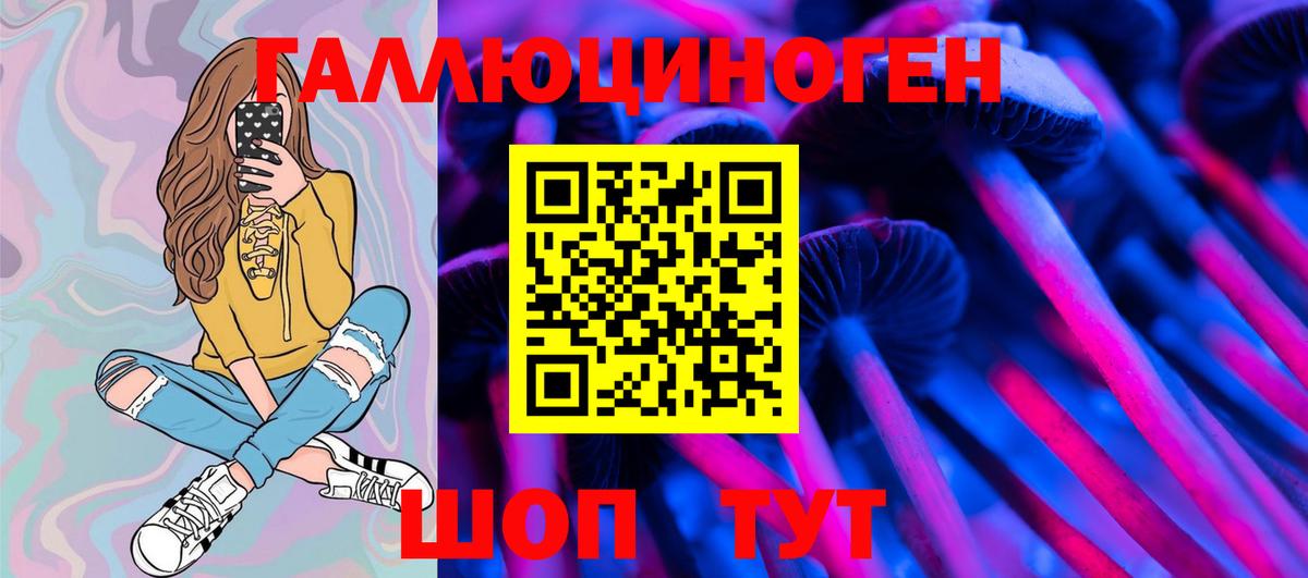 Псилоцибиновые грибы Psilocybine cubensis  где купить наркоту  Псилоцибиновые грибы Magic Shrooms  Искитим 