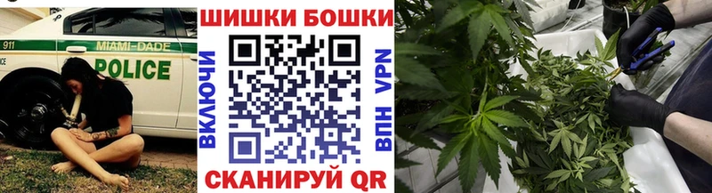 Шишки марихуана планчик  Искитим 